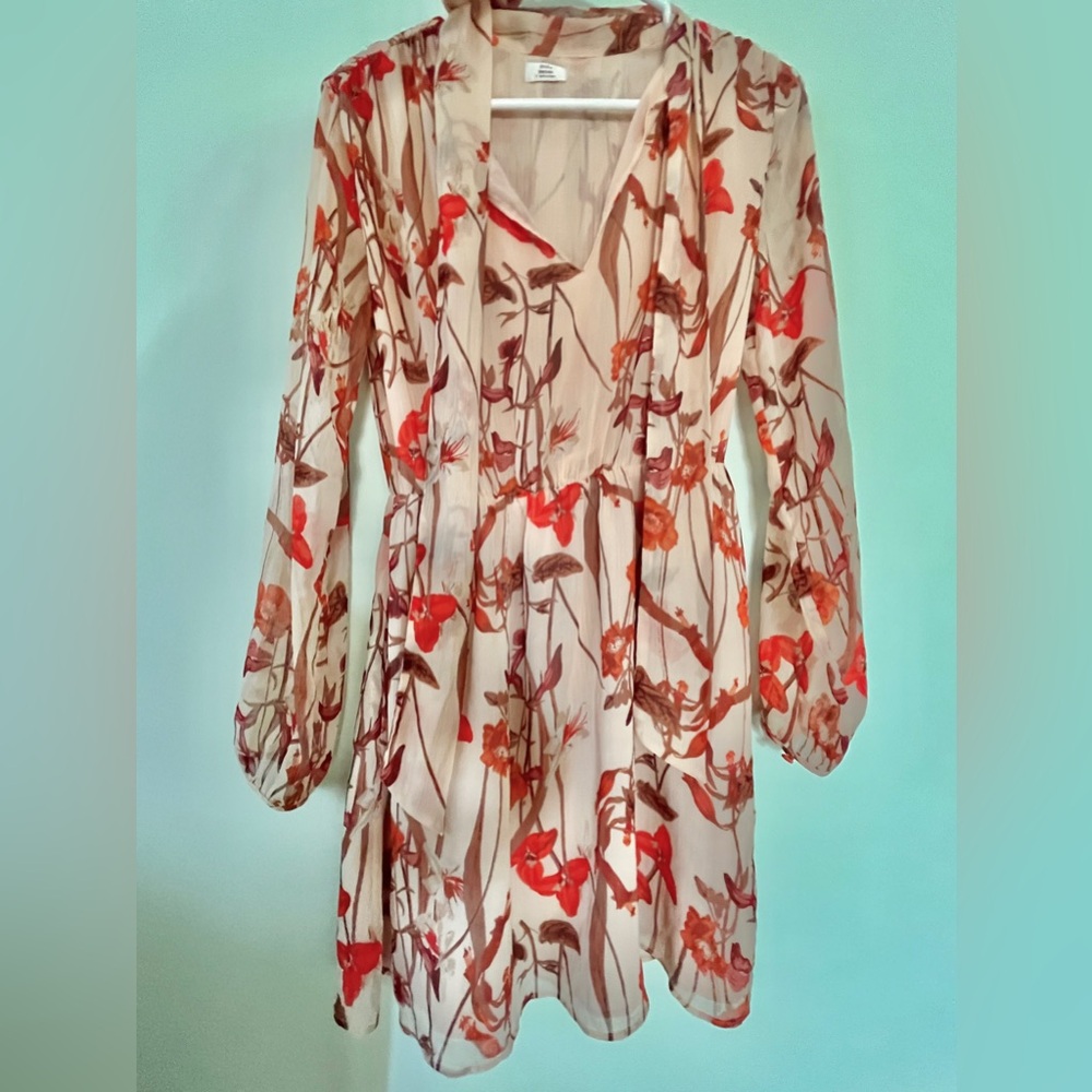 Aritzia Little Moon poppy print dress